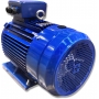 SILNIK ELEKTRYCZNY ŁAPOWY 11kW 400/690V 1450obr WAŁEK 42mm 3-FAZOWY